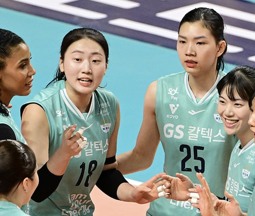 Link trực tiếp giải bóng chuyền VĐQG Hàn Quốc 29/1: Bích Thuỷ cùng GS Caltex vs Hyundai E&C Hillstate