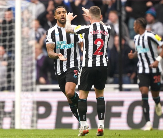 Dự đoán Newcastle vs Fulham, 22h00 ngày 1/2, Ngoại hạng Anh 2024/25