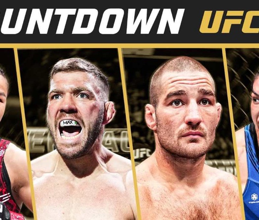 Lịch thi đấu UFC 312: Dricus Du Plessis vs. Sean Strickland 2