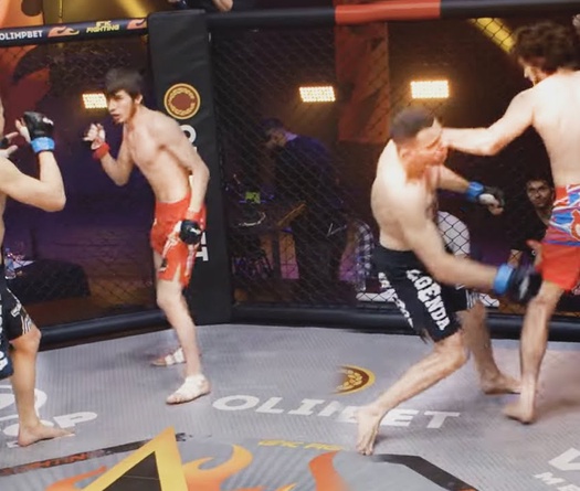 Giải MMA Việt Nam LION Championship thử thể thức thi đấu "độc lạ" mới?