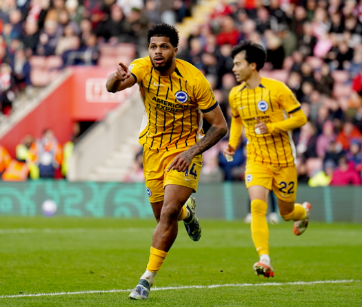 Nhận định bóng đá Newcastle vs Brighton: Chích chòe gặp khó