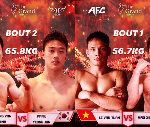 AFC 37: Hai tay găng Việt Nam đối đầu dàn võ sĩ Trung - Hàn