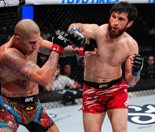 Đội Magomed Ankalaev tố Alex Pereira gian lận vì dùng "chất lạ"