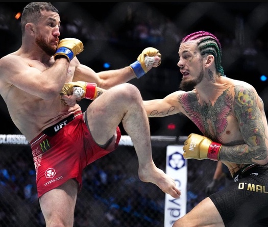 Sean O'Malley đáp trả bình luận không xứng tái đấu tranh đai ở UFC 316