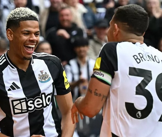 Dự đoán Brighton vs Newcastle, 20h00 ngày 4/5, Ngoại hạng Anh 2024/25