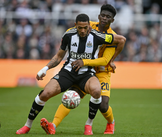 Nhận định bóng đá Brighton vs Newcastle: Đảm bảo top 3