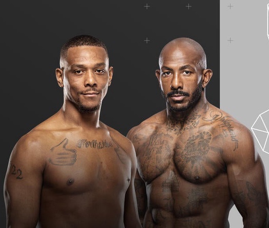 Lịch thi đấu UFC on ABC 8: Jamahal Hill vs. Khalil Rountree Jr