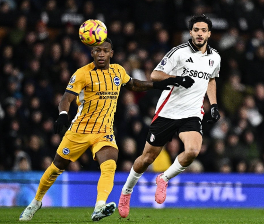 Nhận định, soi kèo Brighton vs Fulham: Chim mòng biển bay cao