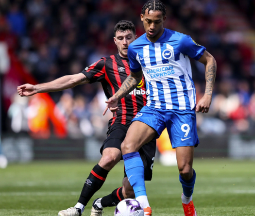 Tỷ lệ kèo trận Bournemouth vs Brighton, 21h ngày 13/9, Ngoại hạng Anh