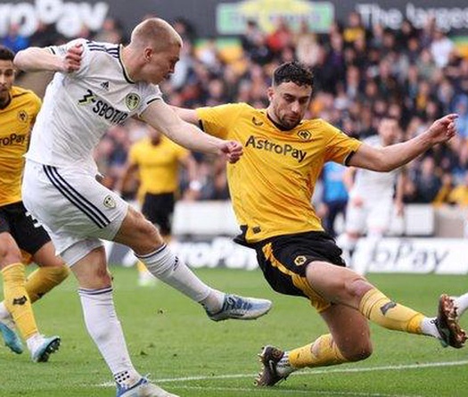 Tỷ lệ kèo trận Wolves vs Leeds, 21h00 ngày 20/9, Ngoại hạng Anh