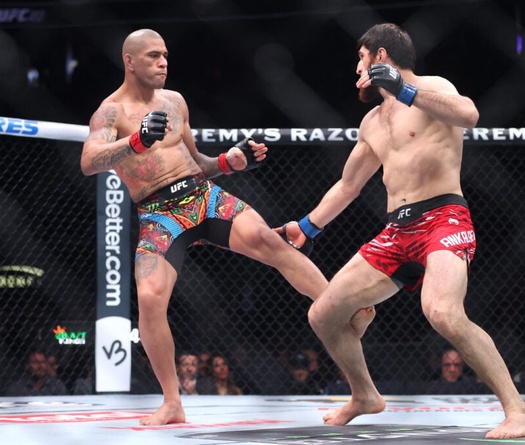 Dricus Du Plessis: Alex Pereira cần "hung bạo hơn" để đòi lại đai ở UFC 320