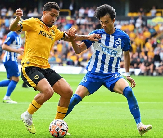 Tỷ lệ kèo trận Wolves vs Brighton, 20h00 ngày 5/10, Ngoại hạng Anh