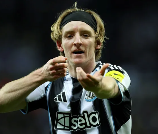 Nhận định, soi kèo Newcastle vs Fulham: Lợi thế sân nhà