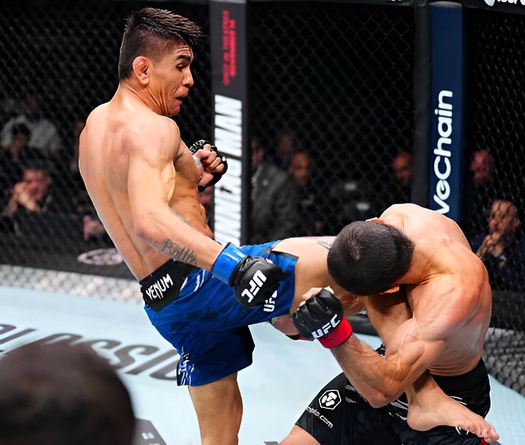 Umar Nurmagomedov nhận bài học nhớ đời vì trái lời Khabib ở UFC 321
