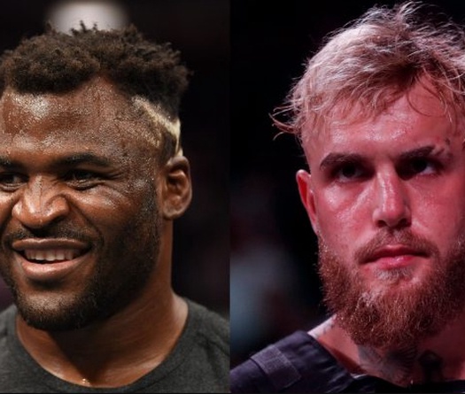Francis Ngannou phản ứng gay gắt vì "được mời đấu Jake Paul"
