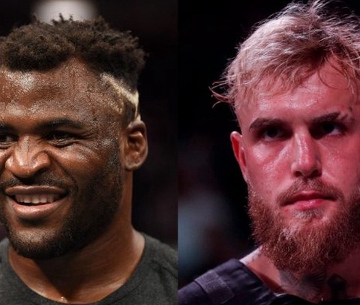 Jake Paul công kích Francis Ngannou vì từ chối: “Thật là một kẻ ngốc”