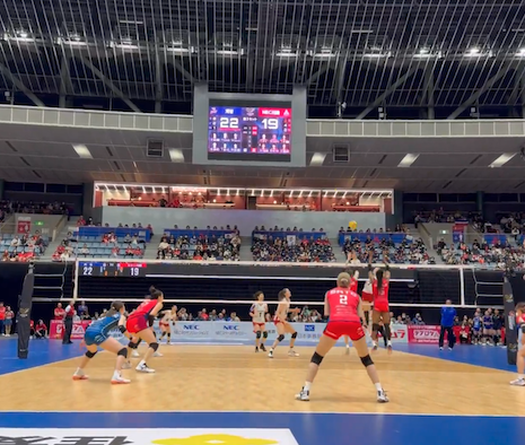 NEC Red Rockets và Himeji bứt phá tại giải bóng chuyền VĐQG Nhật Bản