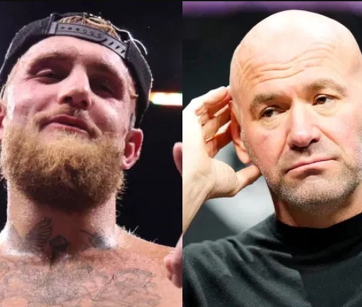 Jake Paul “cà khịa” UFC 324: Fan chê nhưng Jake lại là “người có lý”