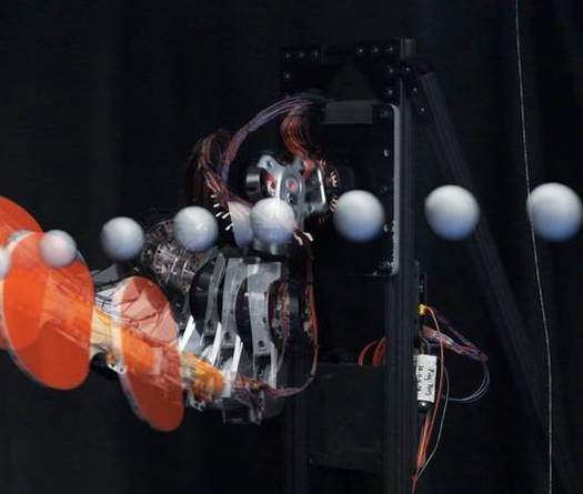 Cách robot chơi bóng bàn mở ra tương lai cho công nghệ cứu hộ thế hệ mới