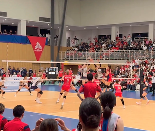 Những bất ngờ tại SV.League nữ Nhật Bản — khi các đội “cửa dưới” biết cách gây sốc