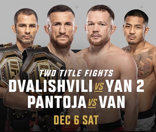 Lịch thi đấu UFC 323: Dvalishvili vs Yan 2, Pantoja vs Van