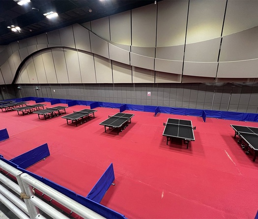 Địa điểm thi đấu bộ môn bóng bàn tại SEA Games 33