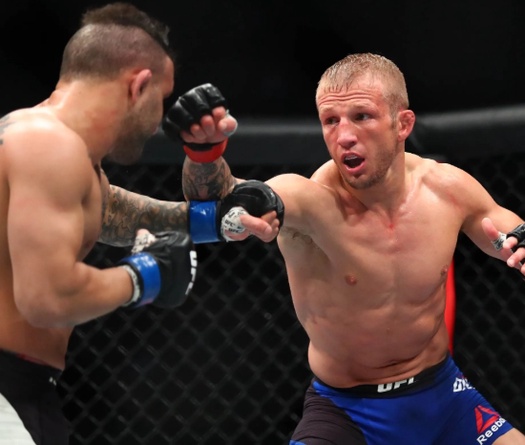 Dana White từng đùa cợt TJ Dillashaw khi đòi tranh đai sau chiến thắng lịch sử tại UFC 207