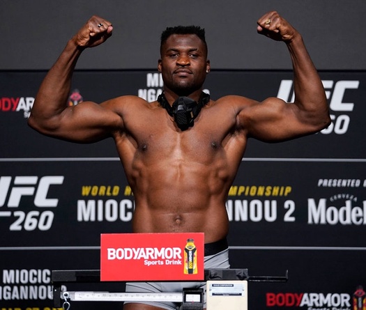 Matt Brown bác bỏ việc Francis Ngannou hối hận khi rời UFC