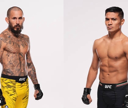 Hạng gà chuyển động: Marlon Vera chạm trán David Martinez tại UFC Mexico