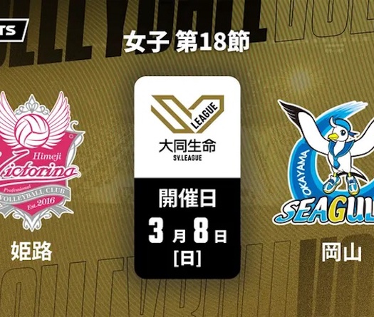 Highlight giải bóng chuyền VĐQG Nhật Bản: Bích Thuỷ ghi điểm xuất sắc nhất Okayama Seagulls