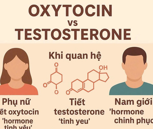 Tình dục và thể thao thành tích cao qua góc nhìn huấn luyện tâm lý