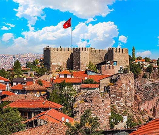 Giải billiards World Cup 2022: Làng carom 3 băng thế giới háo hức đón các cơ thủ Việt Nam