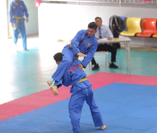 Chờ luồng gió mới cho phong trào Vovinam Việt Nam