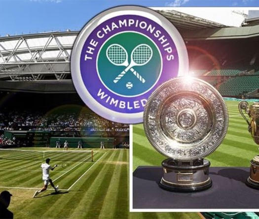 Top 8 sao tennis tiếc hận do thiếu Wimbledon 