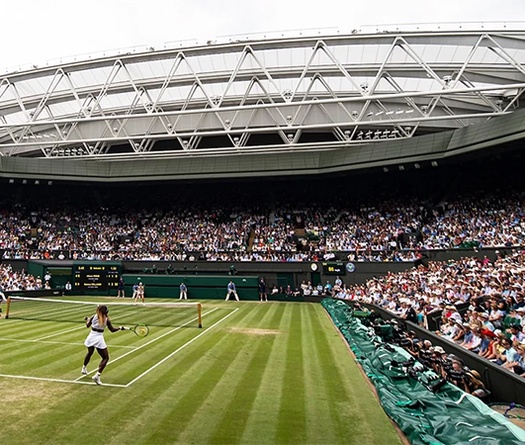 Giải tennis Wimbledon 2021 có bao nhiêu tiền thưởng?
