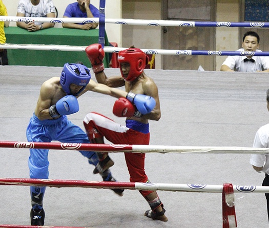 Tập luyện chuyên sâu: Vấn đề dư thừa thể lực trong võ thuật đối kháng Việt Nam