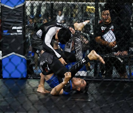 Chiều nay, Đại hội thành lập Liên đoàn MMA Việt Nam