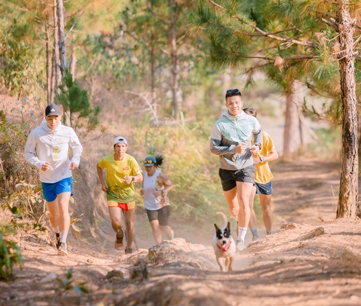 Những giải chạy hấp dẫn nhất tháng 3 năm 2024