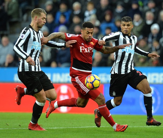 Nhận định Newcastle vs Watford 22h00, 26/1 (vòng 4 FA Cup)