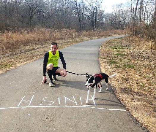 Con chó chạy nhanh nhất thế giới khiến Malcolm Gladwell phải tấm tắc khen