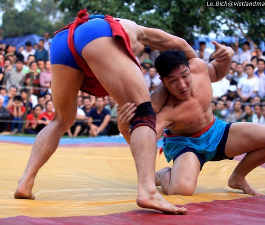 Muốn du nhập MMA, nhưng người Việt lại bỏ quên Vật Cổ Truyền
