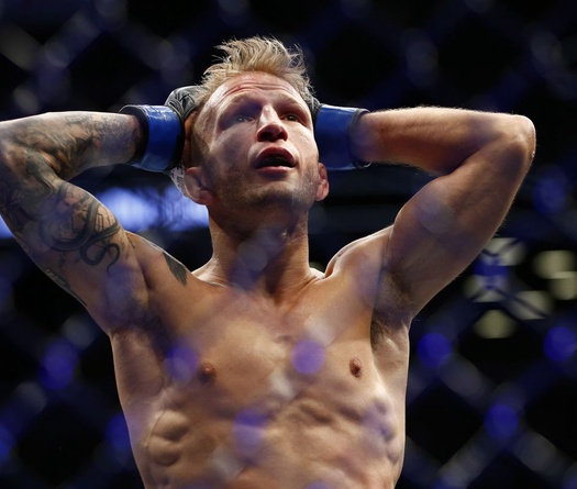 TJ Dillashaw bất ngờ bị tước đai tạm thời vì chất cấm