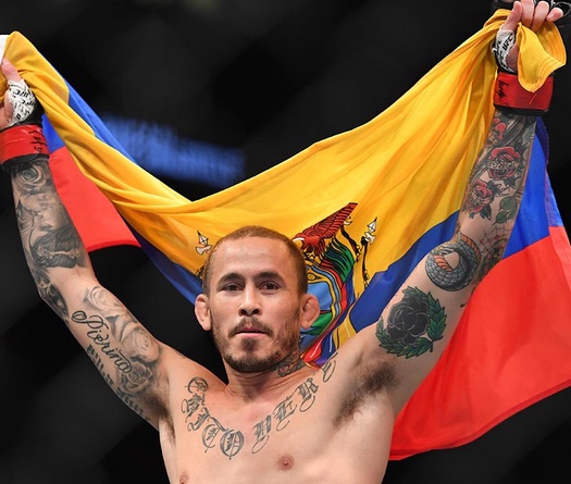 UFC Fight Night 148: Marlon Vera thắng TKO nhưng có bị sai luật không ?