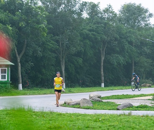 Mục kích đường chạy marathon "Hoa vàng trên cỏ xanh" Ecopark