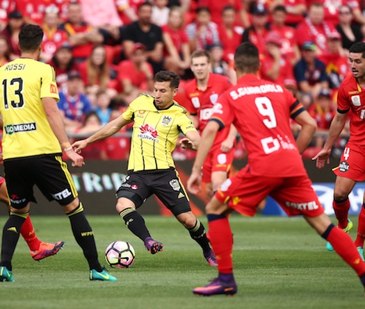 Nhận định Adelaide United vs Wellington Phoenix 14h00, 07/04 (vòng 24 VĐQG Úc)
