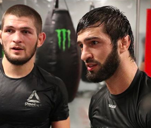 Conor McGregor lại 'cà khịa' đồng đội của Khabib Nurmagomedov