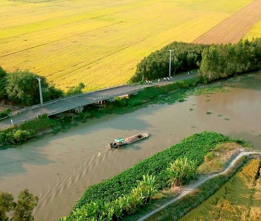 Hấp dẫn cơ cấu giải thưởng Mekong Delta Marathon 2019