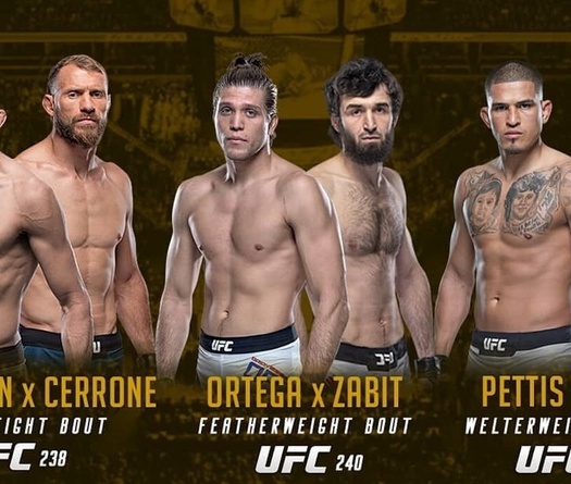 Top 3 trận đấu UFC đáng kỳ vọng nhất hè 2019