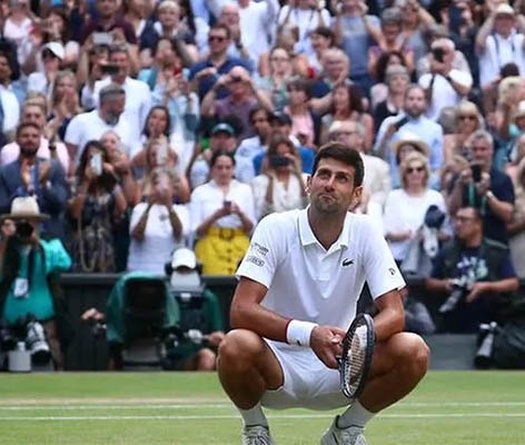Rogers Cup bị sốc: Djokovic rút lui theo Federer!