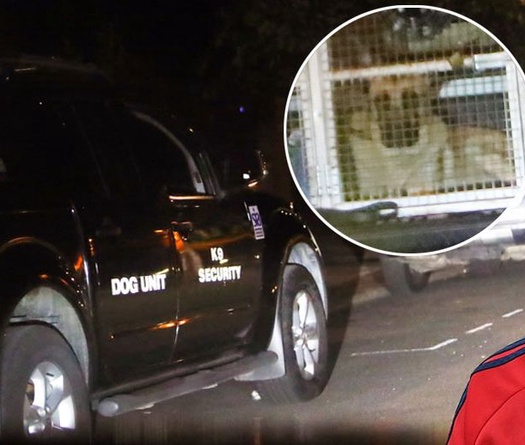 HLV Unai Emery chưa biết chính xác thời điểm Ozil và Kolasinac trở lại